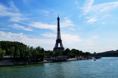 Eiffel Tower - Paris, France - 07-02-2019 0052
