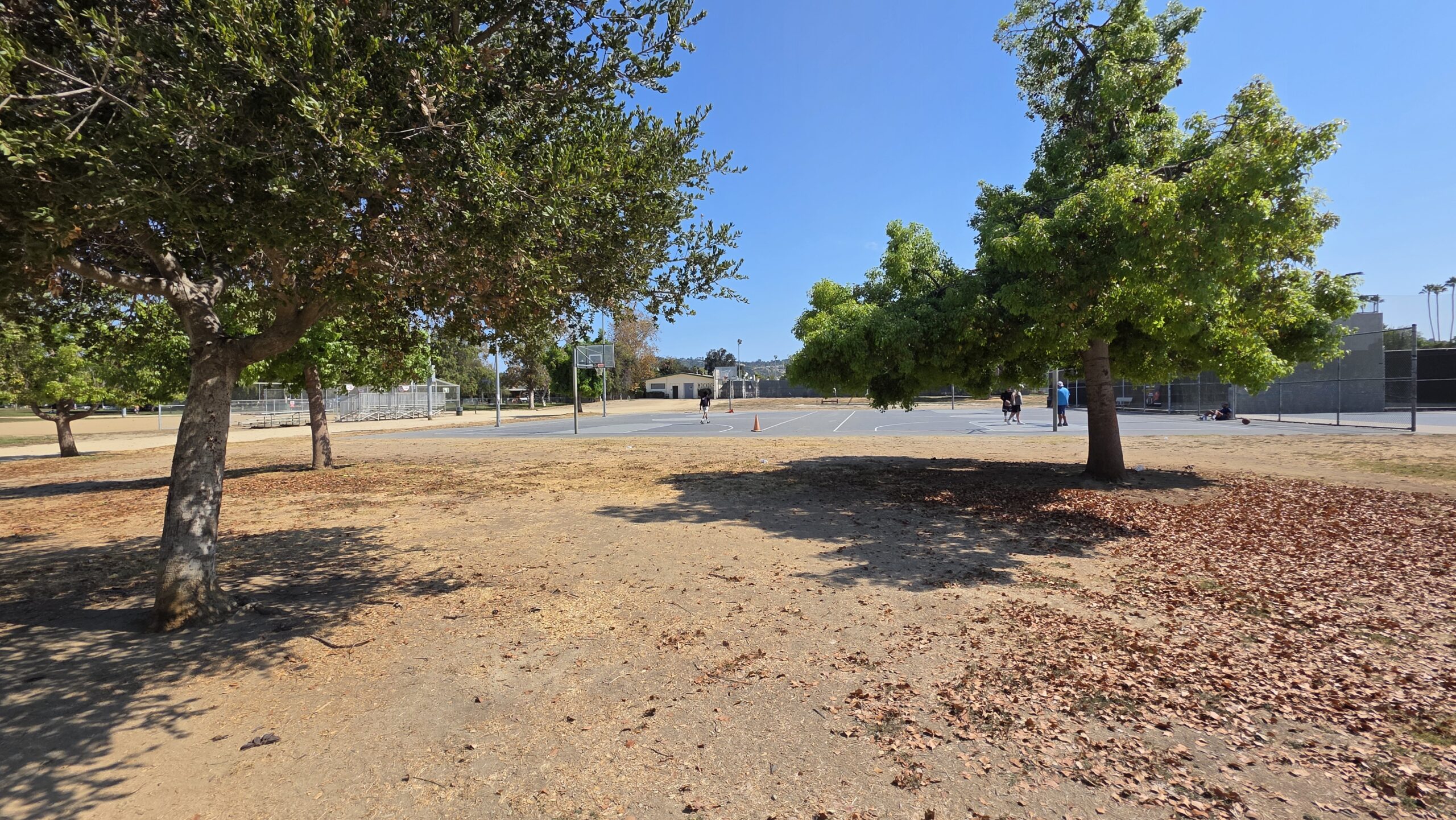 Trees and basketball court under open sky