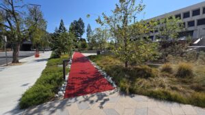 Red pathway through landscaped grounds